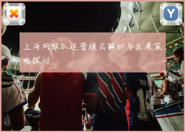 上海网球队运营模式解析与发展策略探讨